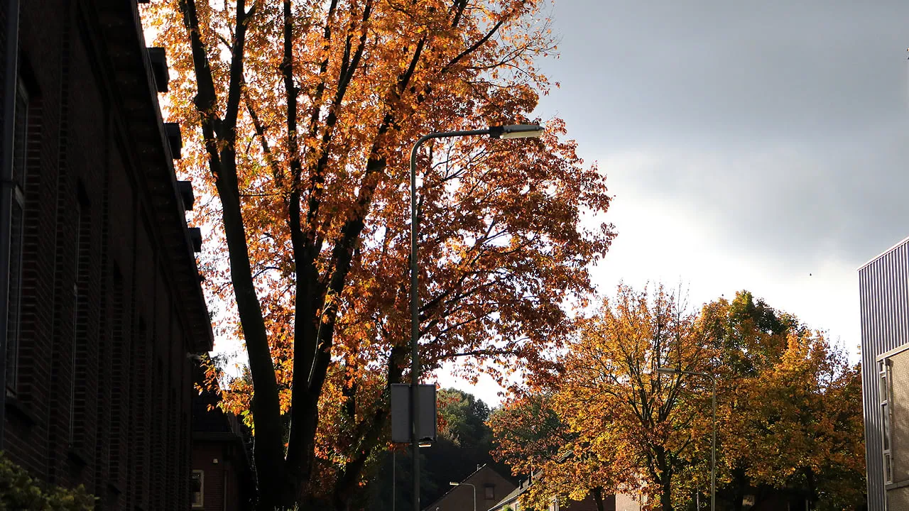 herfst herfstvakantie kollenberg