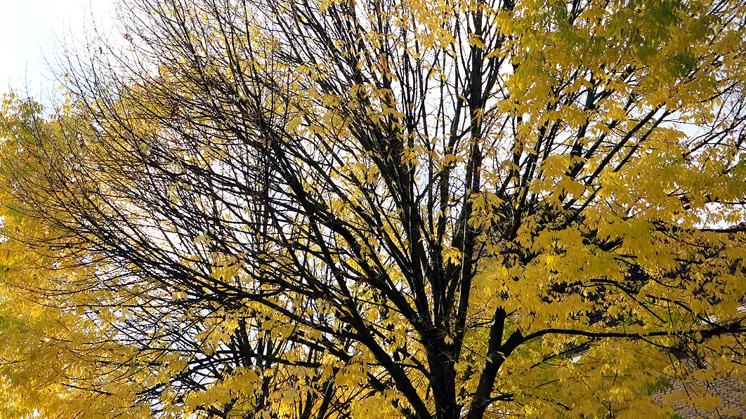 herfst herfstvakantie