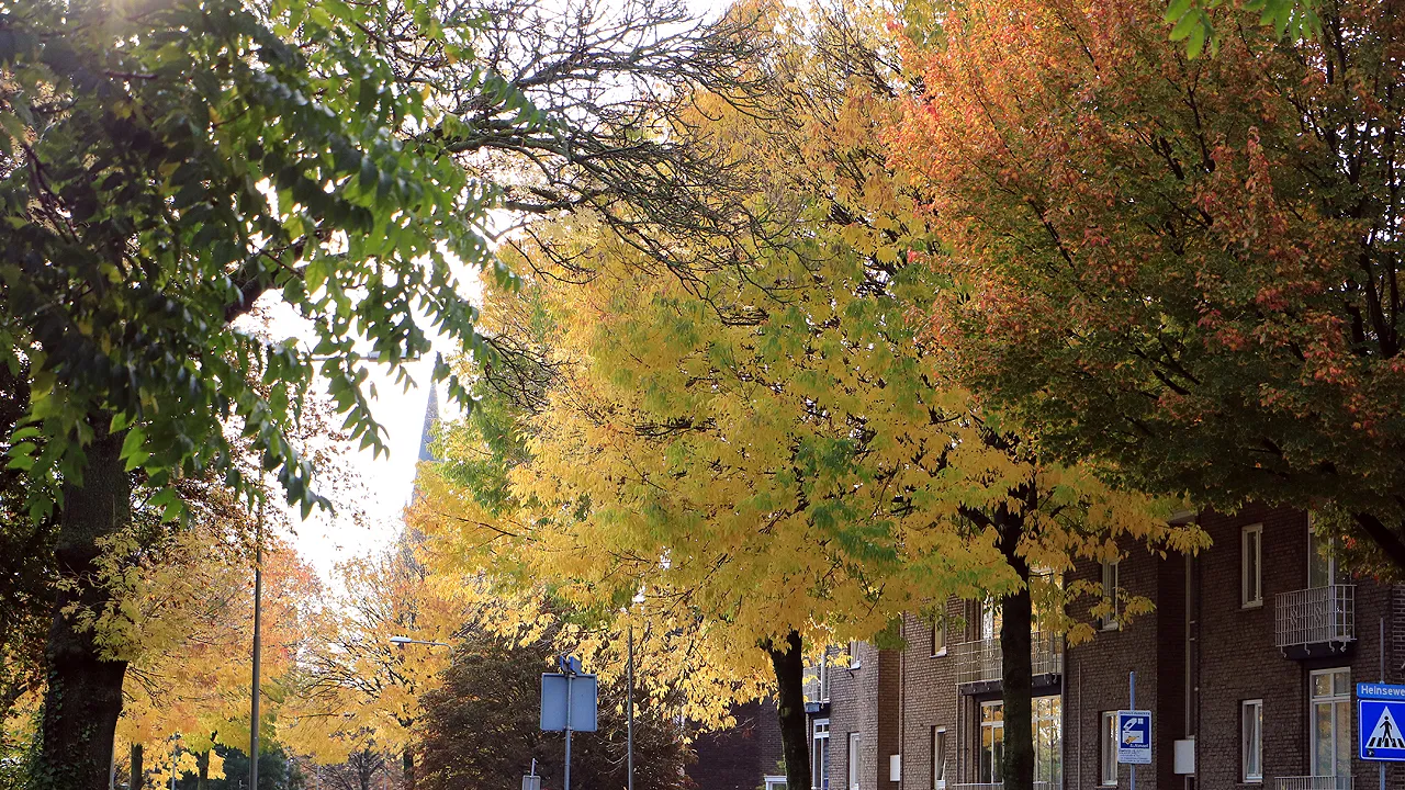 herfst in de stad 2019 01