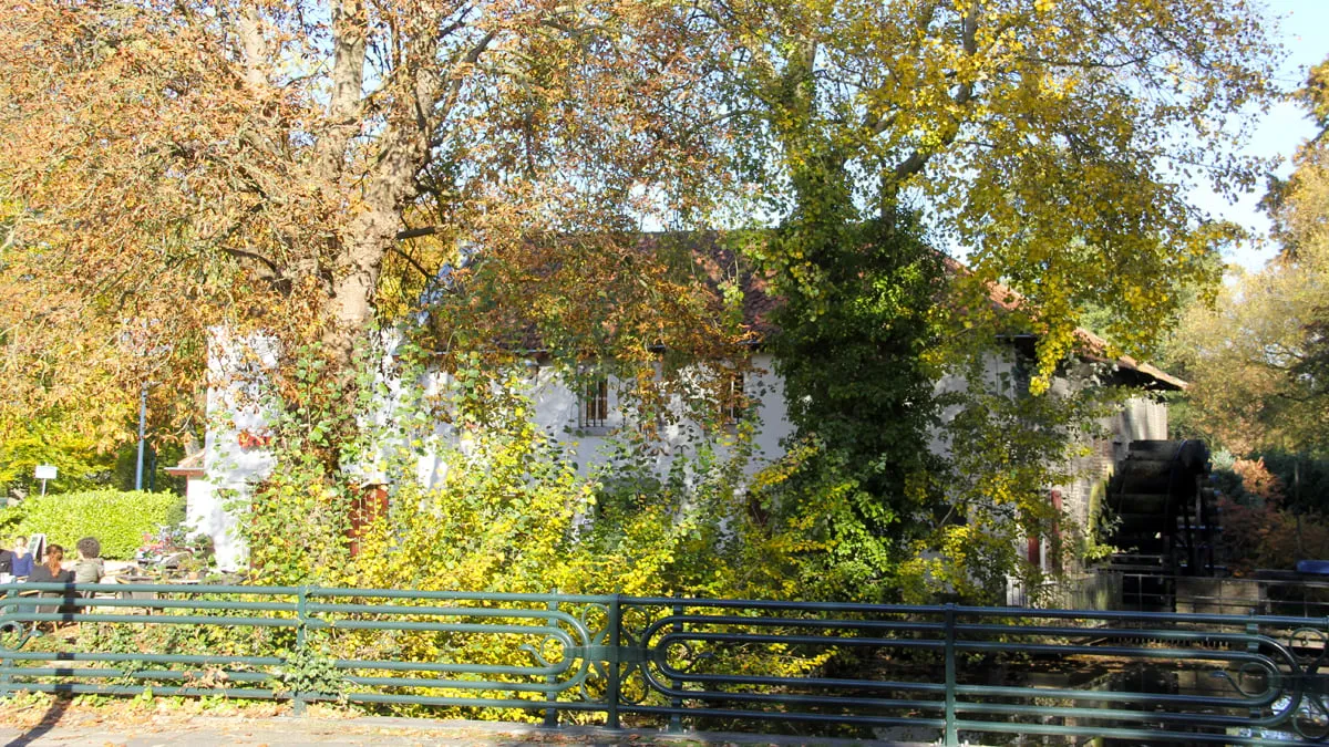 herfst stadspark sittard