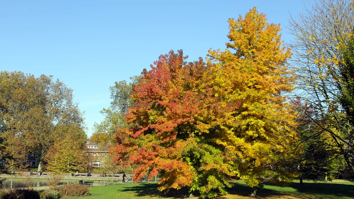 herfst warme dag warm weer