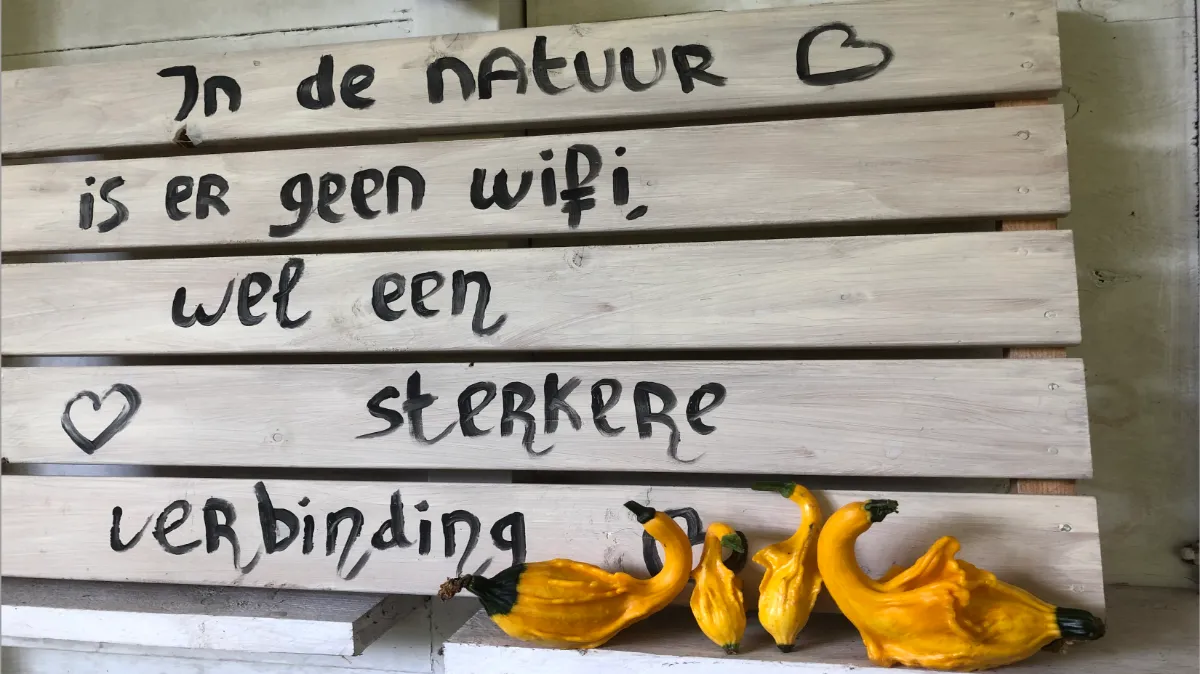 herfstverkoop door geheime tuinen in agnetentuin 2021