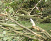 hh8f9yhpo498wh81qwkqjwq79 74182