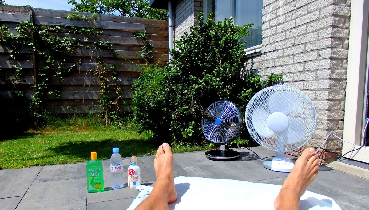 hitte vakantie thuis david van der mark cc by sa 20 via flickr 27269385940 2439a55eaf o