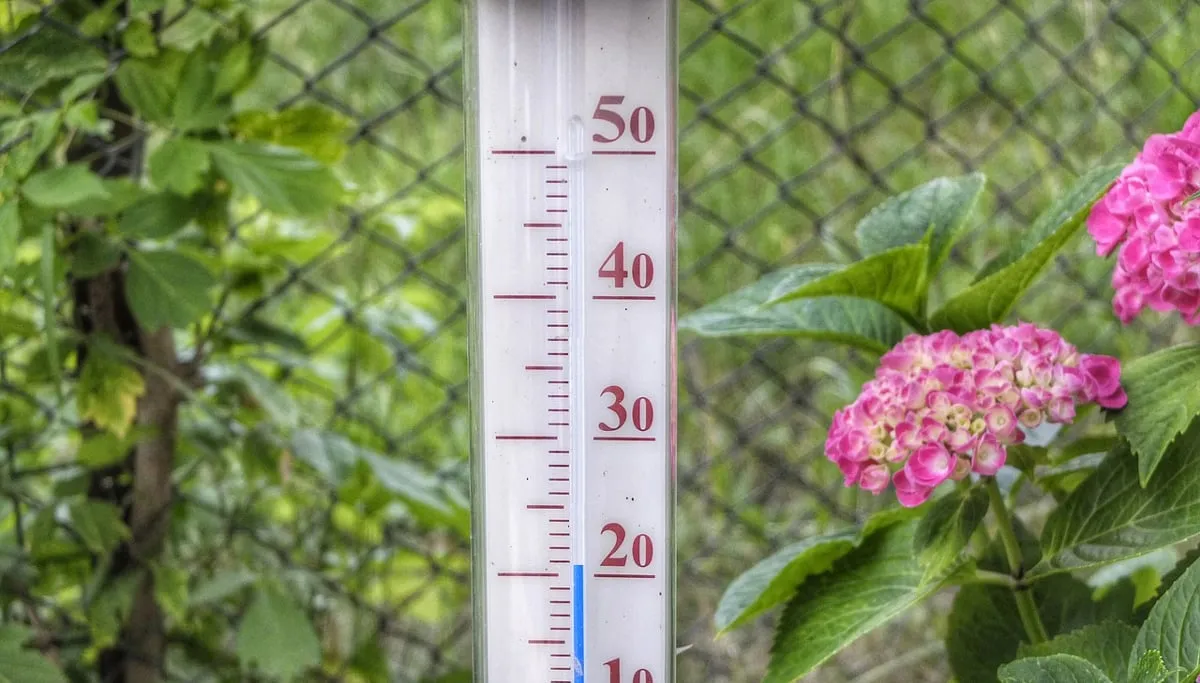 hittegolf thermometer 201 graden0