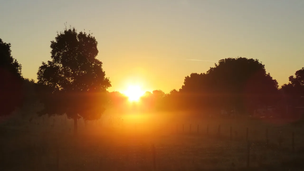 hof van limburg tom bloem 1