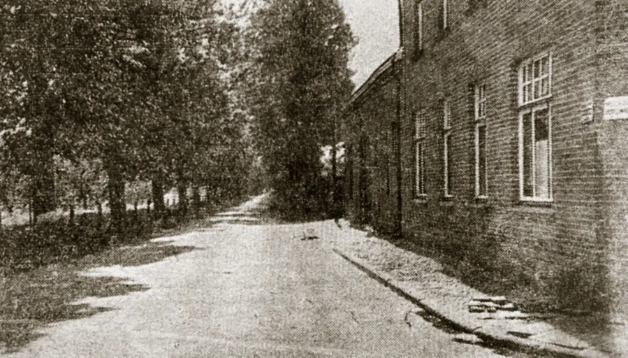 holtum 60er jaren koestraat