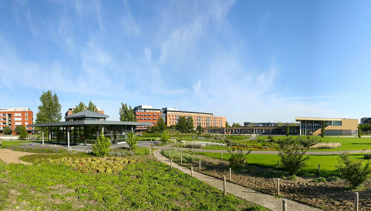 hoogveld park picknick