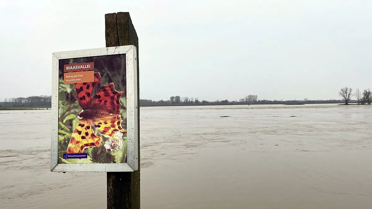 hoogwater in de maas