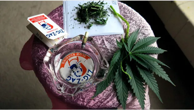 i0lhnljuxs78bi4j8hie5y9ga zigzag foto cc3