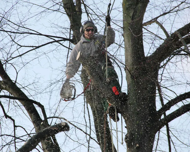 i6fg94sems5u12kkufon6cbsv 217718