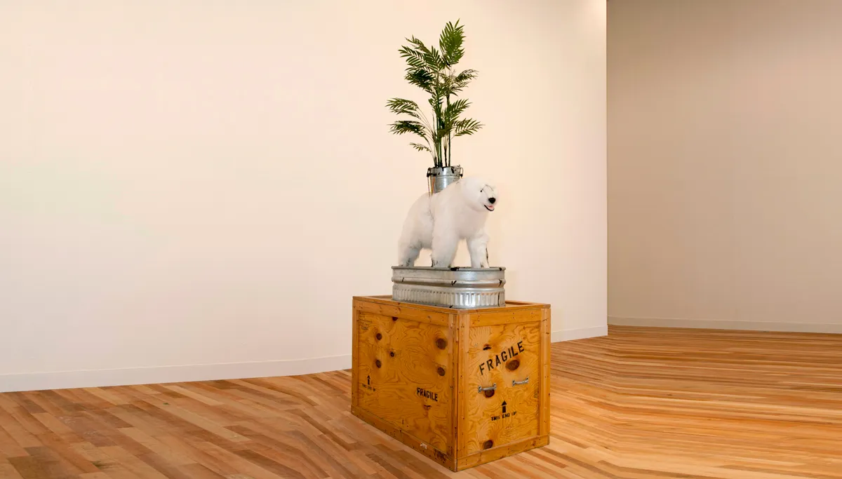 iceberg palmtrees mark dion