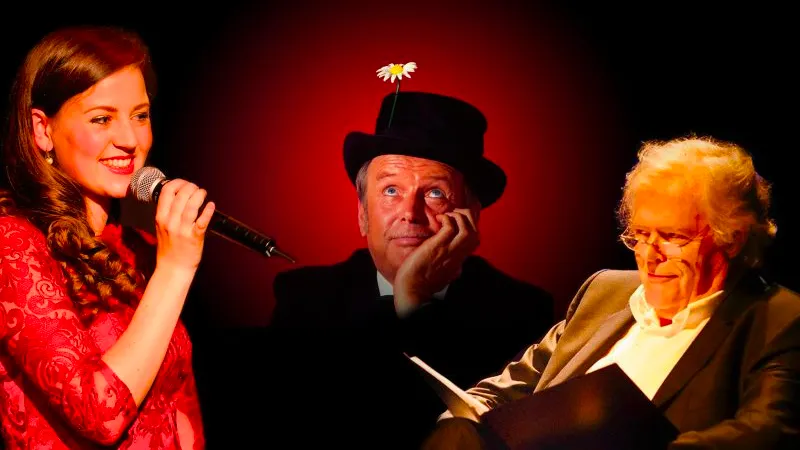 in de schaduw van toon hermans een hommage aan toon