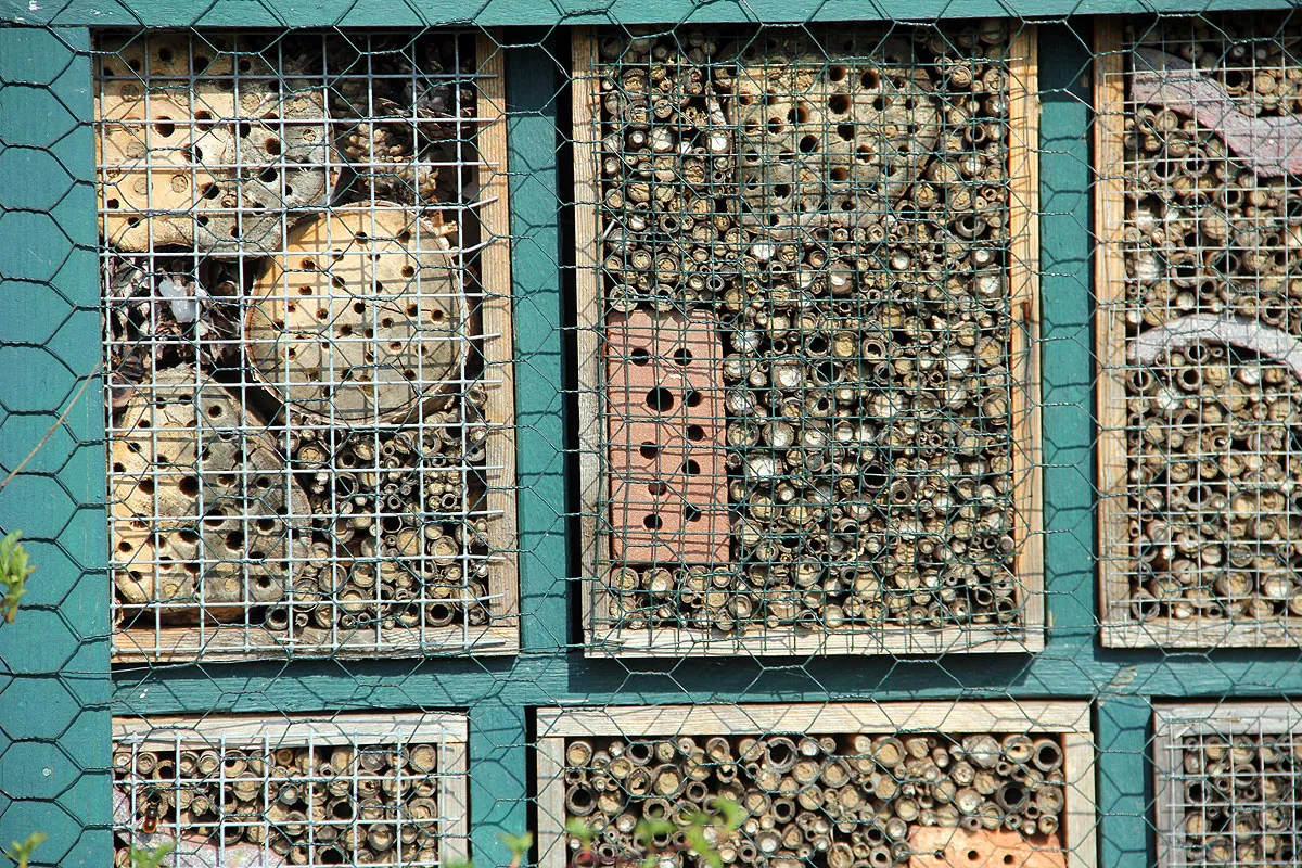 insectenhotel schipperskerk 2