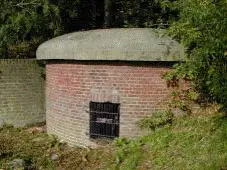 irro1xb3m4vpibj9d4nllp6ww 126344