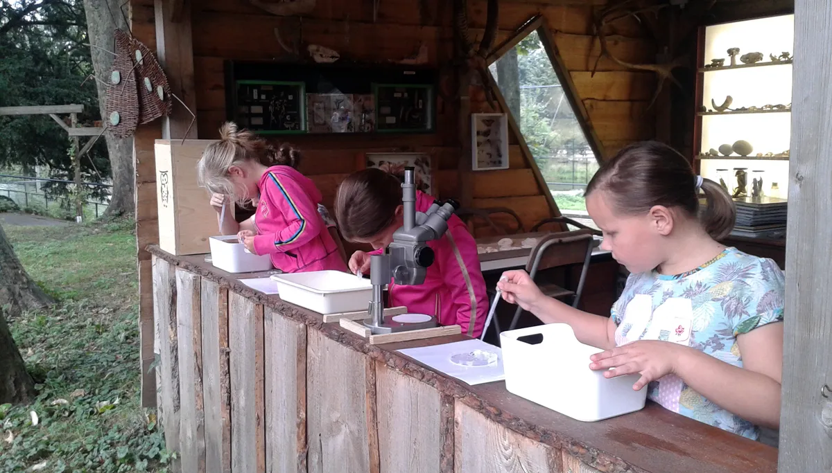 ivn slootjesdag waterdieren zoeken