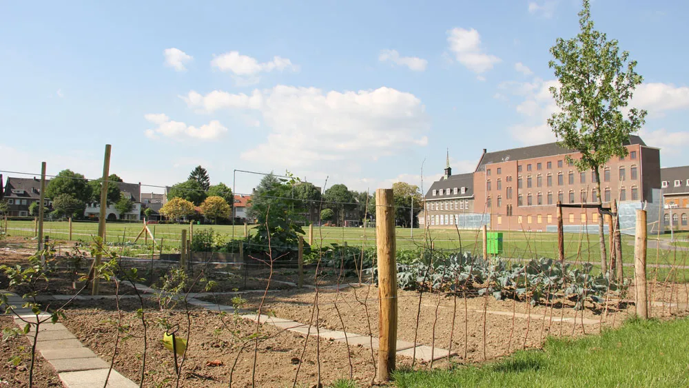 ix3of78pqky2jeh91d4eabksa cultuurkweek