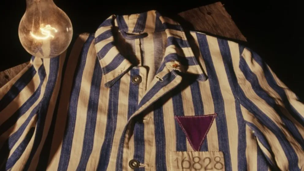 jg holocaust paarse driehoek