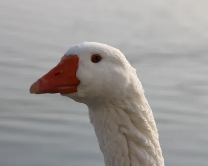 jmpcux4q4n59czqv22hwsftxo 121716