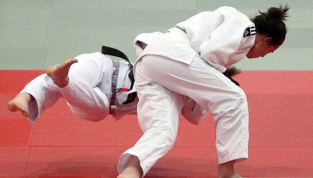 judoworp schnuffel2002 cc by sa 30 via wikimedia commons