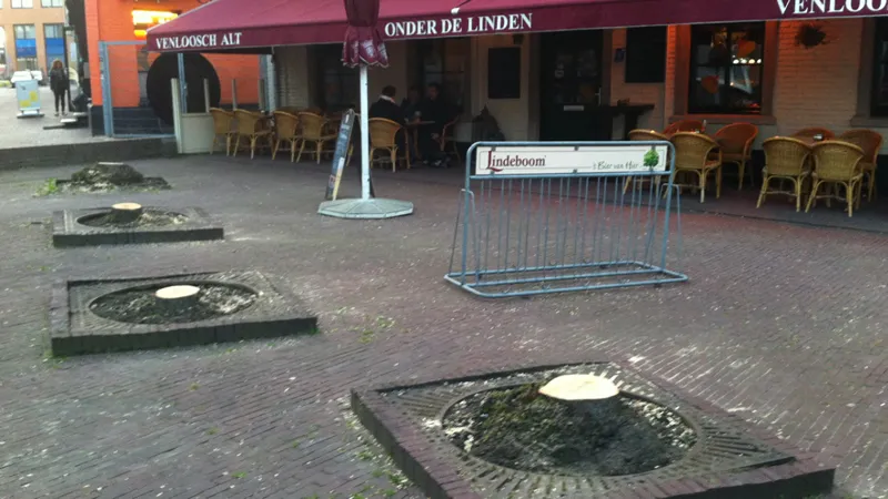 k3x8zacxgfbe7a6p2qm174oul zonder de linden