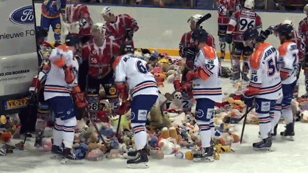 k4j2wlp9ojpb7ndtbqyj2rral teddy bear toss 4