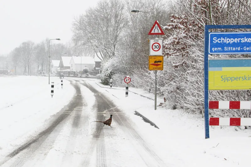 k6lt5ihnb7bh8gstfaqihulry sneeuw fazanthaan schipperskerk