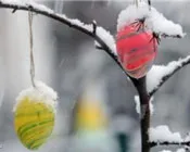 k9bc27aoitnc9lek6a4dxsgbd 222312