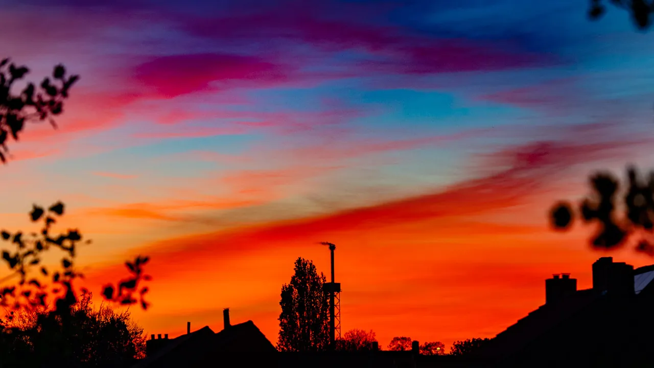 kaers van gelaen avondrood 2