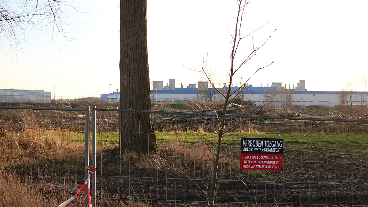 kap bomen bij nedcar voltooid