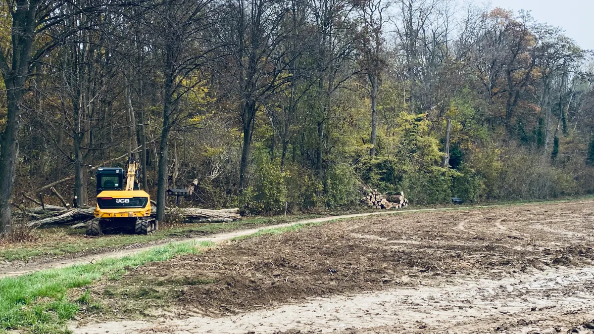 kap en snoeiwerk aan hoddelsley munstergeleen