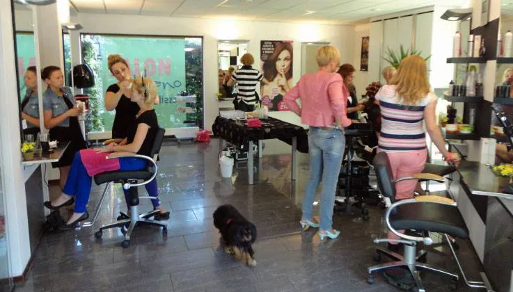 kapper salon mano geleen