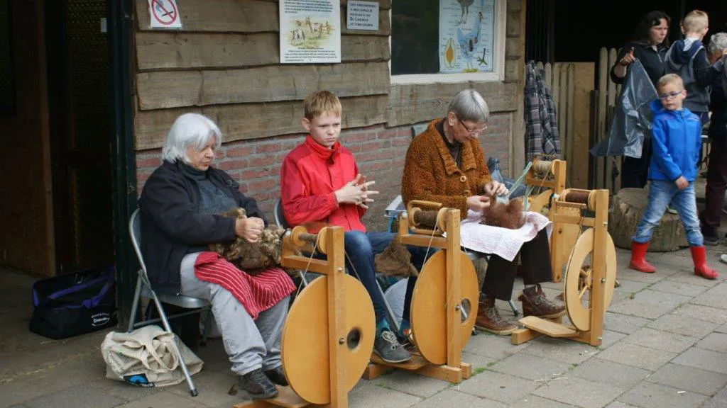 kasteelpark 0 wol spinnen 2016