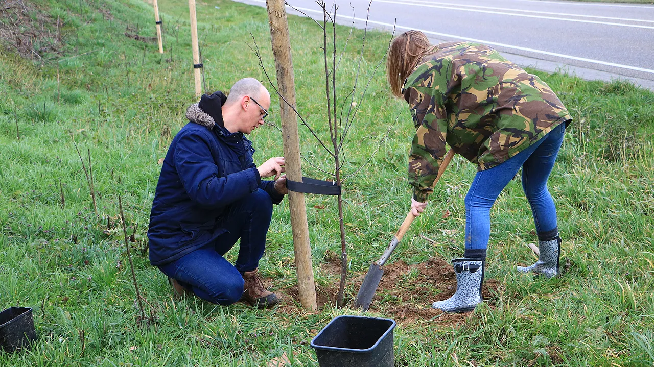 kay hudales geleen fruitbomen 4