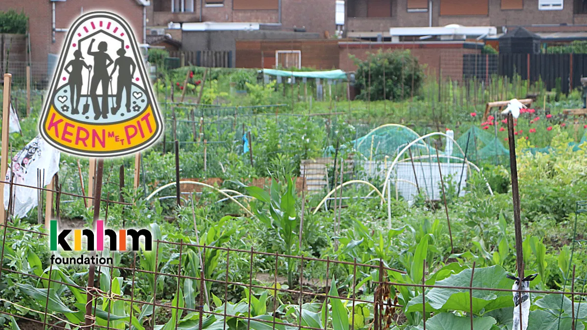 kern met pit 2021 mooshofke geleen lindenheuvel