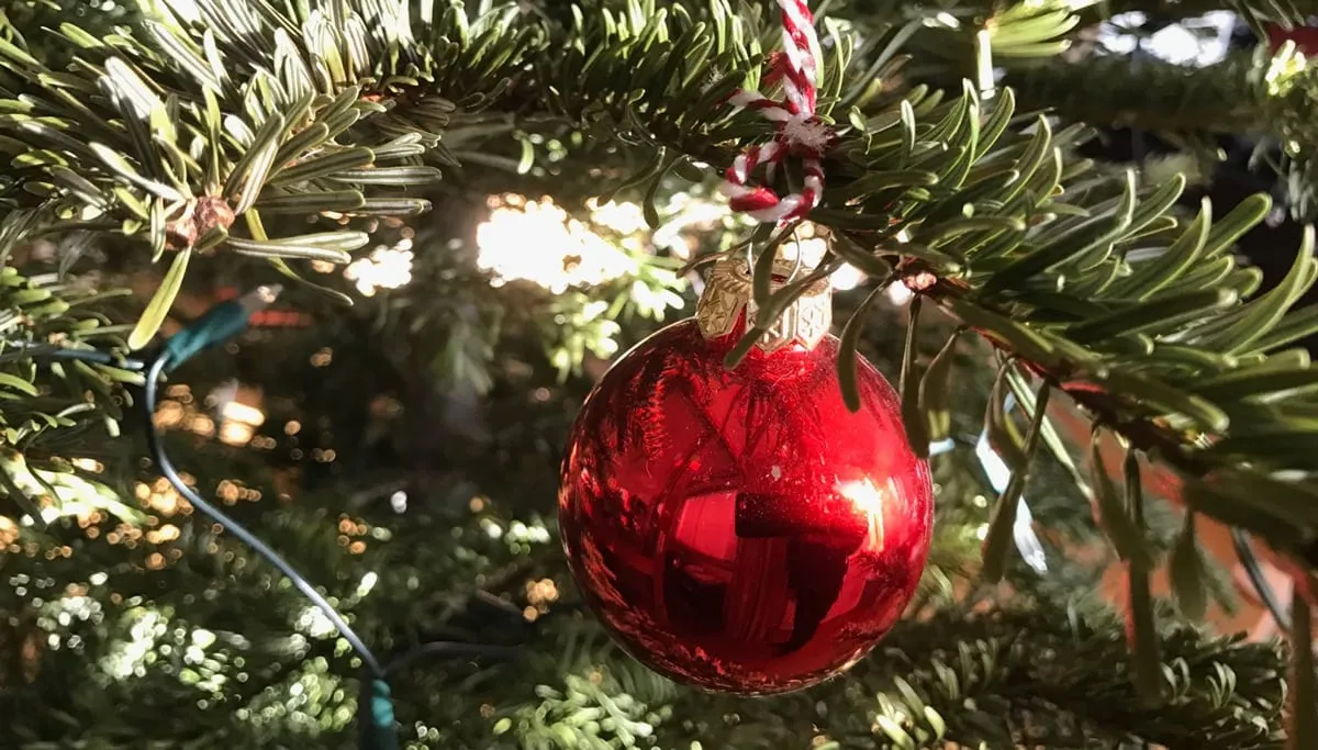 kerstboom met kerstbal