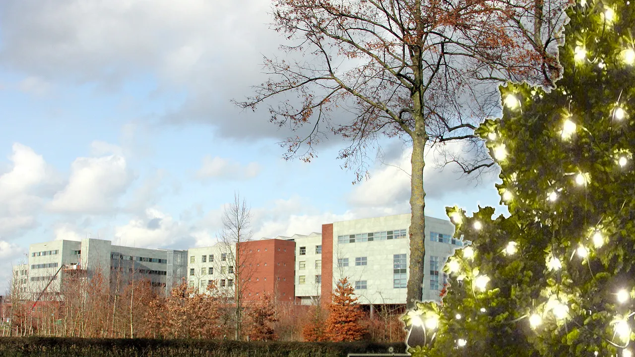 kerstboom zuyderlandziekenhuis sittard zuidoostzijde
