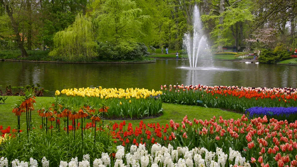 keukenhof alessandro vecchi cc by sa 30 https creativecommonsorglicensesby sa30