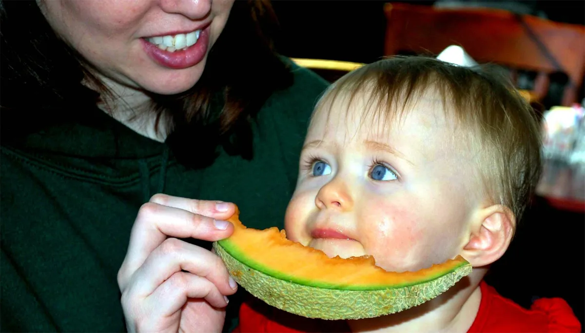 kind eet fruit cc0 via publicdomainpicturesnet