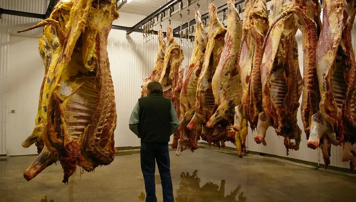 koelruimte geslacht vee