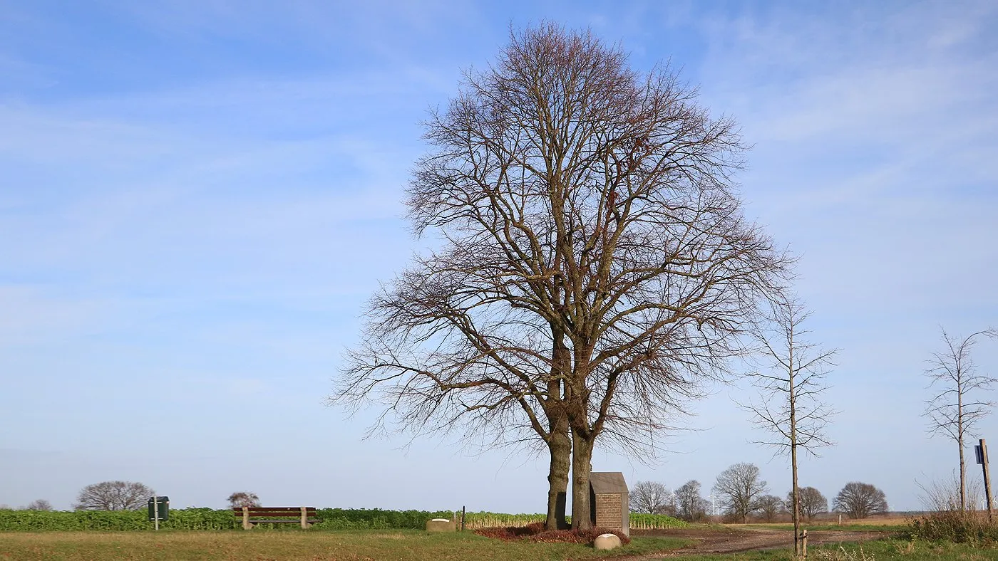 kollenberg boom winter december 2019