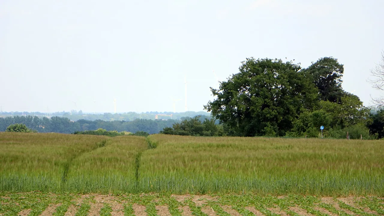 kollenberg sittard mei 2020
