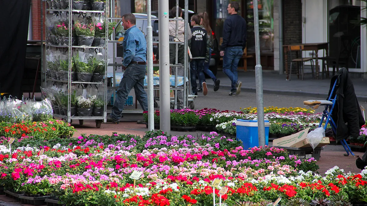 koningsdag geraniummarkt geleen