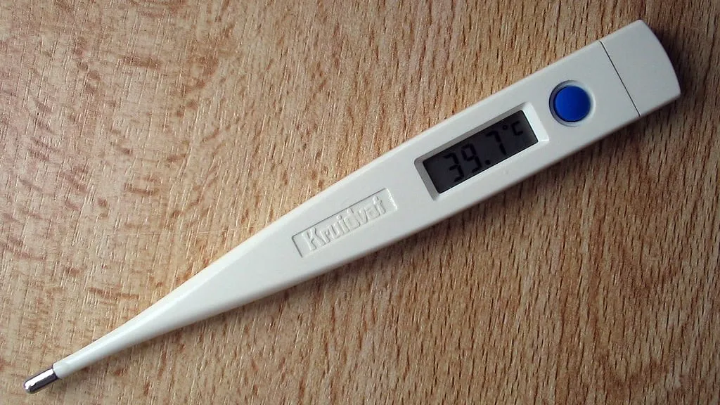 koortsthermometer michiel1972 cc by sa 30