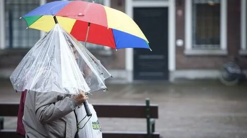 kp7z6pfpm2avaikhg4y44lsxs stormherfstregenparapluhqnovum