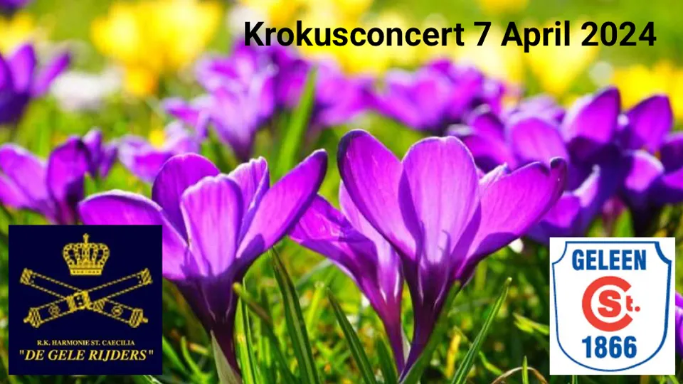krokusconcert cecilia gele rijders hanenhof