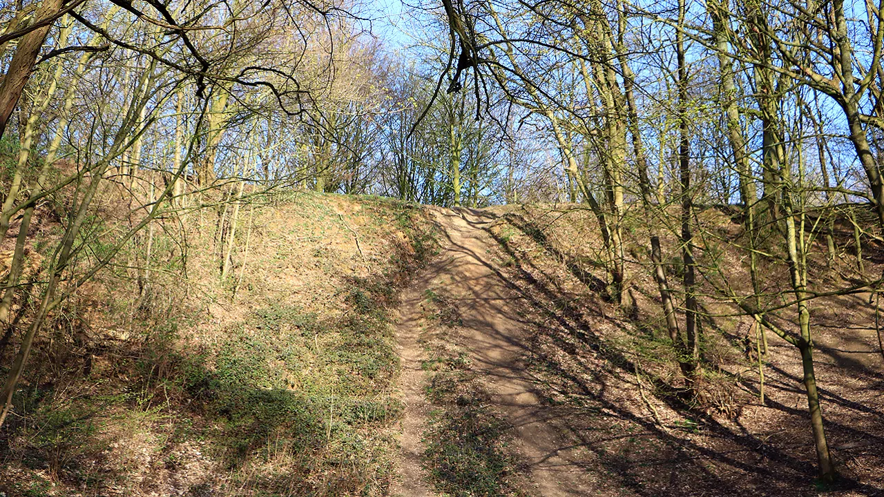 krombroodberg kogelvanger halfvasten 2020