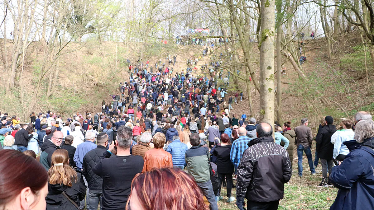 krombroodrapen 2022 05