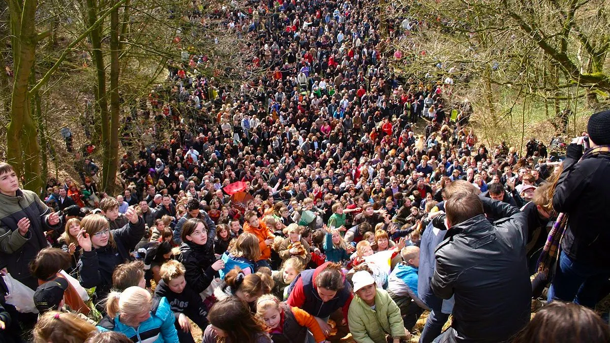 krombroodrapen kollenberg kogelvanger