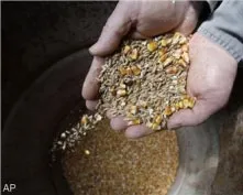 krsfn4r7zmv1mq6n19x6xx065 216663